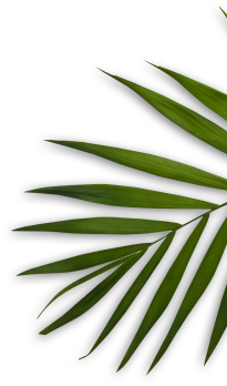 Binhsnails Meadowlark